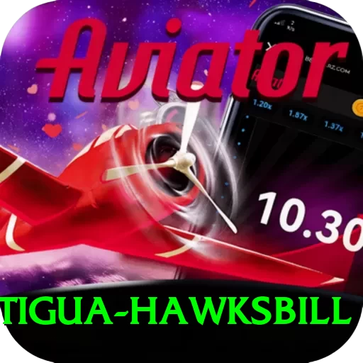 antigua hawksbill Turbo v1.8.0 - 2