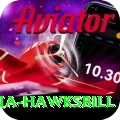 antigua hawksbill Turbo v1.8.0