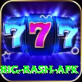 bbl big bash apk Turbo Pro v2.4.5
