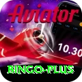 bingo Deluxe Pro v2.8.8