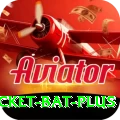cricket bat Casino Master v1.1.7