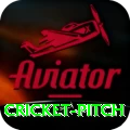 cricket pitch Turbo Pro v2.1.7