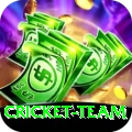 cricket team Gold Edition v4.2.5