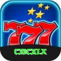 crickex VIP vv2.8.6