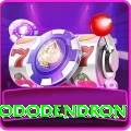 helambu rhododendron Games (Casino & Earning) Ultimate v1.9.5