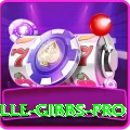 herschelle gibbs Casino Plus v5.0.9