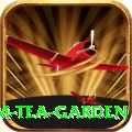 hile ilam tea garden VIP v5.8.6