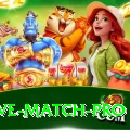 india australia live match PK Premium
