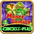 india bangladesh cricket King Slots