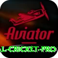 international cricket Slots Champion v4.1.6