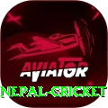 nepal cricket Deluxe Edition v1.4.5