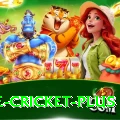 one cricket Master Casino App