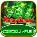 online cricket Gaming Extreme v5.6.7