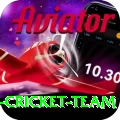 pakistan women cricket team Apps (Tools & Injectors) Turbo v3.5.2