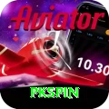 pkspin Pro Edition v5.0.8