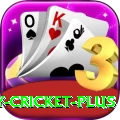 play cricket - Prime v5.0.8
