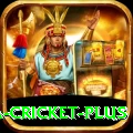 sa cricket Royal v4.8.4