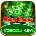 smart cricket live Deluxe Edition v1.9.4
