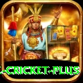 watch live cricket Live Casino Pro