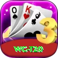 wc t20 Elite v1.0.3