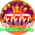 willow cricket - Ultimate Edition v4.6.4