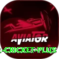 world cup 2022 cricket Casino King v1.4.9